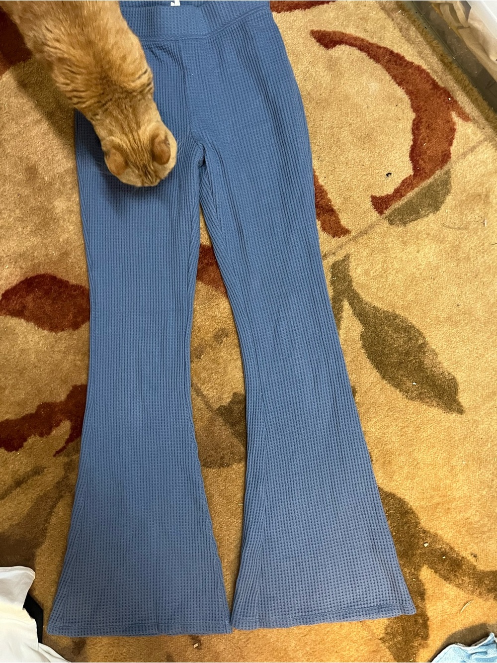 aerie Blue Ribbed Flare Knit Pants